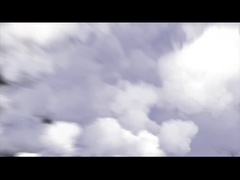 テリー・フィールライン